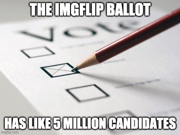 Voting Ballot | THE IMGFLIP BALLOT; HAS LIKE 5 MILLION CANDIDATES | image tagged in voting ballot | made w/ Imgflip meme maker