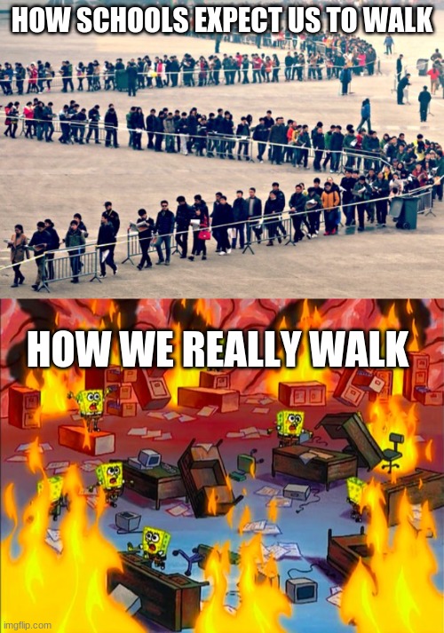 HOW SCHOOLS EXPECT US TO WALK; HOW WE REALLY WALK | image tagged in line of people,spongebob brain chaos | made w/ Imgflip meme maker