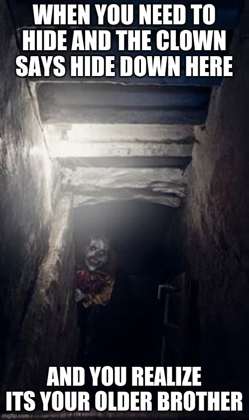 Basement Clown | WHEN YOU NEED TO HIDE AND THE CLOWN SAYS HIDE DOWN HERE AND YOU REALIZE ITS YOUR OLDER BROTHER | image tagged in basement clown | made w/ Imgflip meme maker