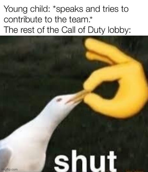 Fr like hop on the hard point | image tagged in cod | made w/ Imgflip meme maker