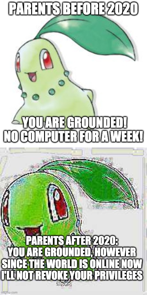 PARENTS BEFORE 2020 YOU ARE GROUNDED! NO COMPUTER FOR A WEEK! PARENTS AFTER 2020: YOU ARE GROUNDED, HOWEVER SINCE THE WORLD IS ONLINE NOW I' | image tagged in chikorita,deep fried chikorita | made w/ Imgflip meme maker