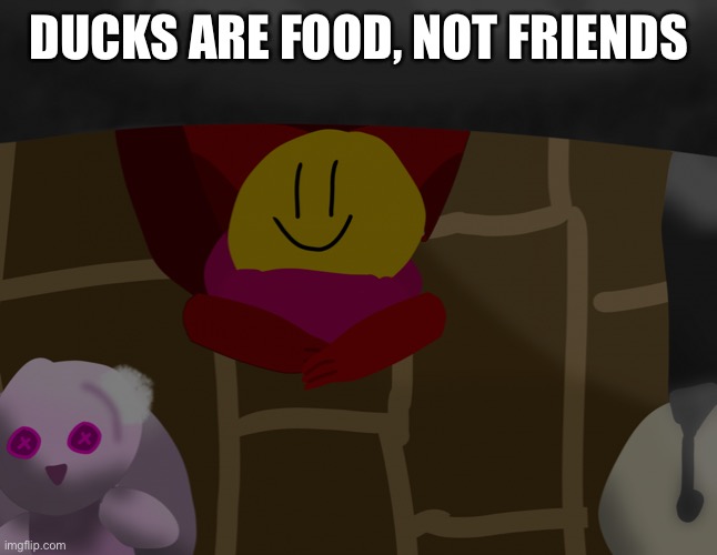 A | DUCKS ARE FOOD, NOT FRIENDS | image tagged in there is a god under my bed help | made w/ Imgflip meme maker