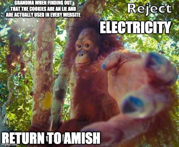 Return to monke | ELECTRICITY GRANDMA WHEN FINDING OUT THAT THE COOKIES ARE AN LIE AND ARE ACTUALLY USED IN EVERY WEBSITE RETURN TO AMISH | image tagged in return to monke | made w/ Imgflip meme maker
