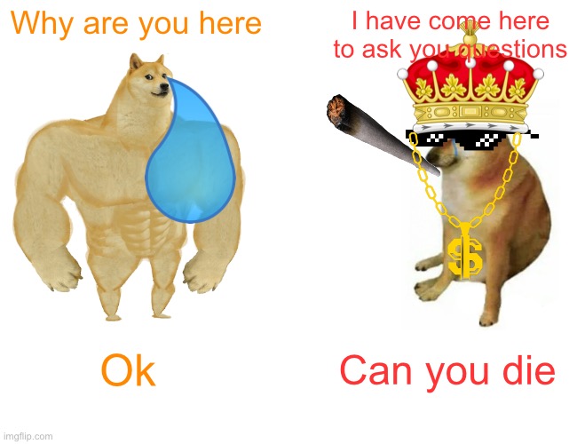 Buff Doge vs. Cheems | Why are you here; I have come here to ask you questions; Ok; Can you die | image tagged in memes,buff doge vs cheems | made w/ Imgflip meme maker