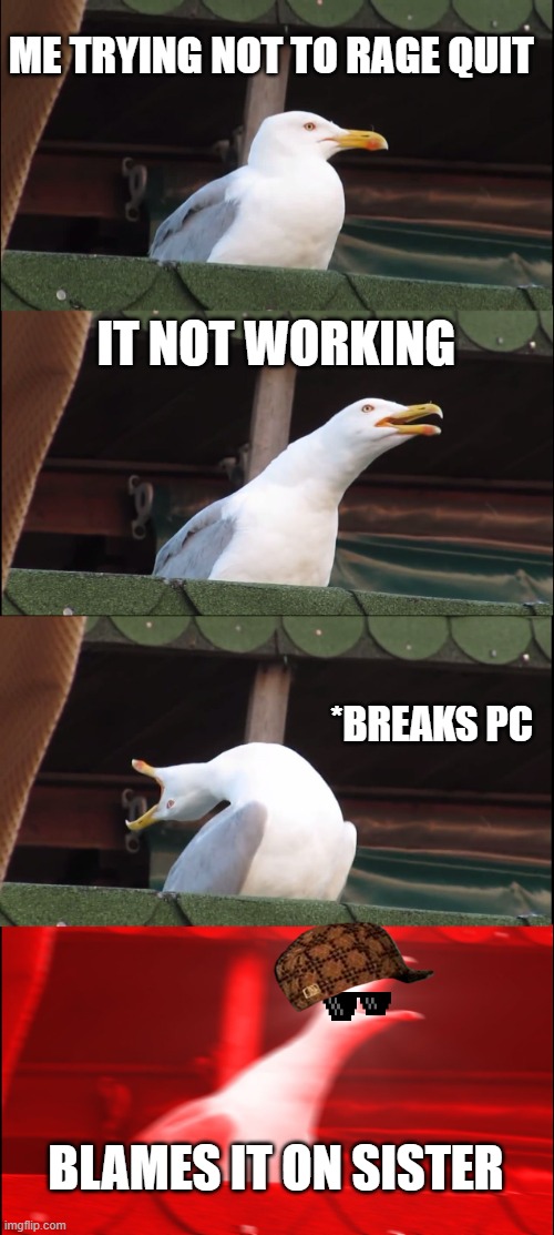 Inhaling Seagull Meme | ME TRYING NOT TO RAGE QUIT; IT NOT WORKING; *BREAKS PC; BLAMES IT ON SISTER | image tagged in memes,inhaling seagull | made w/ Imgflip meme maker