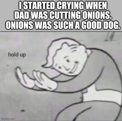 Wait a minute... | I STARTED CRYING WHEN DAD WAS CUTTING ONIONS. ONIONS WAS SUCH A GOOD DOG. | image tagged in fallout hold up,dark humor | made w/ Imgflip meme maker