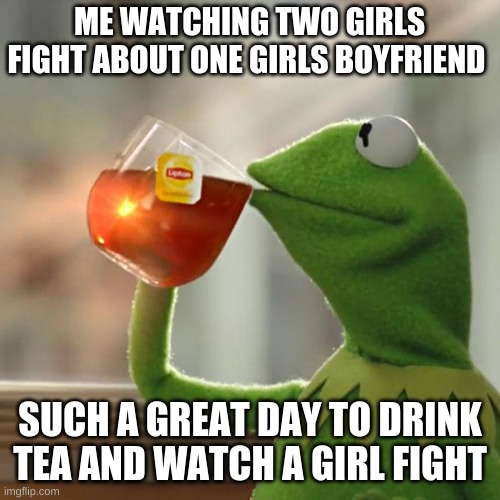 But That's None Of My Business Meme | ME WATCHING TWO GIRLS FIGHT ABOUT ONE GIRLS BOYFRIEND; SUCH A GREAT DAY TO DRINK TEA AND WATCH A GIRL FIGHT | image tagged in memes,but that's none of my business,kermit the frog,tea,drama,girl fight | made w/ Imgflip meme maker