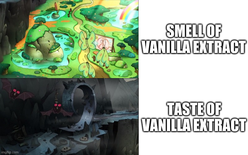 bleh. | SMELL OF VANILLA EXTRACT; TASTE OF VANILLA EXTRACT | image tagged in memes,funny,vanilla,bruh | made w/ Imgflip meme maker