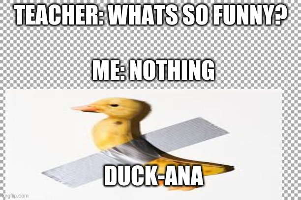 TEACHER: WHATS SO FUNNY? ME: NOTHING; DUCK-ANA | image tagged in duck face chicks | made w/ Imgflip meme maker