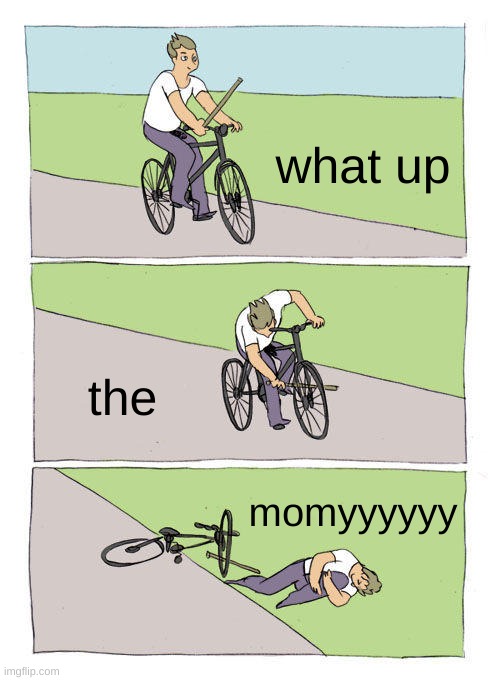 Bike Fall Meme | what up; the; momyyyyyy | image tagged in memes,bike fall | made w/ Imgflip meme maker