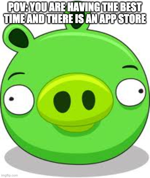 Angry Birds Pig Meme | POV: YOU ARE HAVING THE BEST TIME AND THERE IS AN APP STORE | image tagged in memes,angry birds pig | made w/ Imgflip meme maker