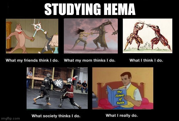 image tagged in swords,hema,what my friends think i do | made w/ Imgflip meme maker
