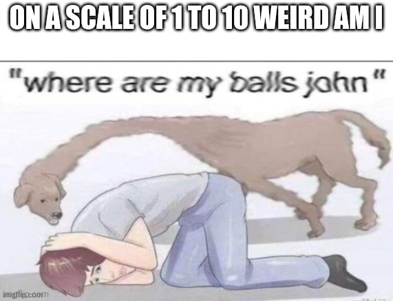 Where are my balls john | ON A SCALE OF 1 TO 10 WEIRD AM I | image tagged in where are my balls john | made w/ Imgflip meme maker