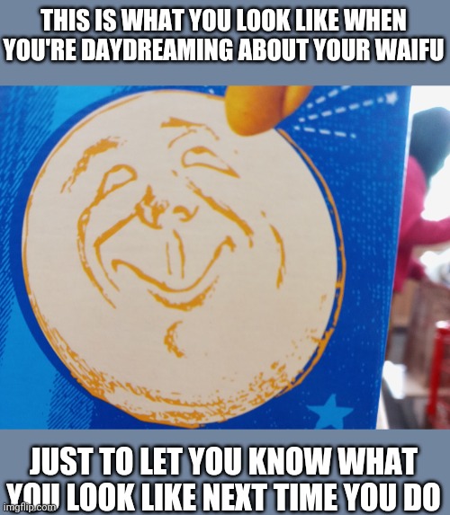 A friendly notice | THIS IS WHAT YOU LOOK LIKE WHEN YOU'RE DAYDREAMING ABOUT YOUR WAIFU; JUST TO LET YOU KNOW WHAT YOU LOOK LIKE NEXT TIME YOU DO | image tagged in wifu,daydreaming in lass | made w/ Imgflip meme maker