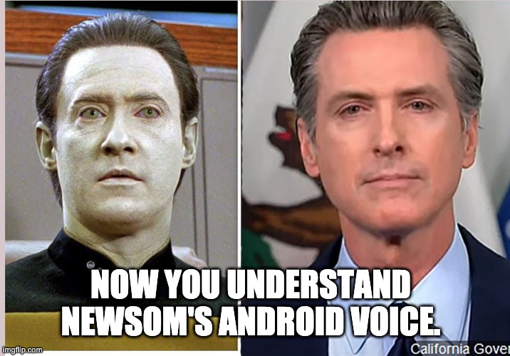 newsom | NOW YOU UNDERSTAND NEWSOM'S ANDROID VOICE. | image tagged in recall | made w/ Imgflip meme maker