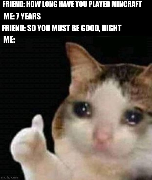 sad mincraft player | FRIEND: HOW LONG HAVE YOU PLAYED MINCRAFT; ME: 7 YEARS; FRIEND: SO YOU MUST BE GOOD, RIGHT; ME: | image tagged in sad thumbs up cat,minecraft | made w/ Imgflip meme maker