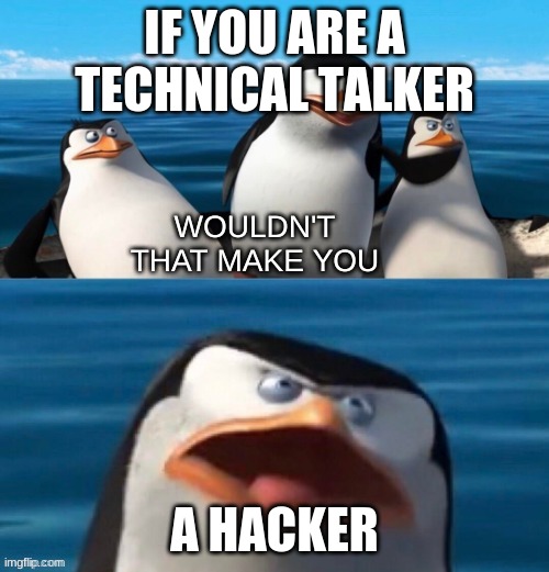 Wouldn't that make you blank | IF YOU ARE A TECHNICAL TALKER; A HACKER | image tagged in wouldn't that make you blank | made w/ Imgflip meme maker