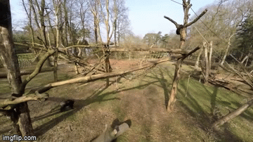 Беспилотник ОБСЕ упал в результате воздействия странции РЭБ наемников РФ - Цензор.НЕТ 7424