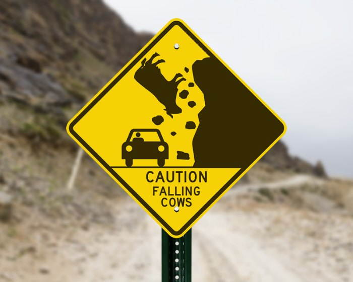 Caution falling cows Blank Meme Template