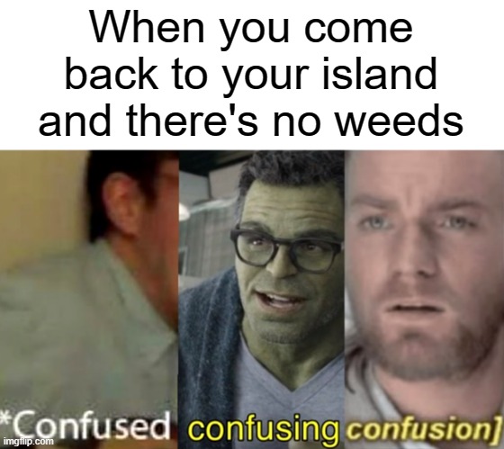 Insane, yet a true story | When you come back to your island and there's no weeds | image tagged in confused confusing confusion,animal crossing | made w/ Imgflip meme maker