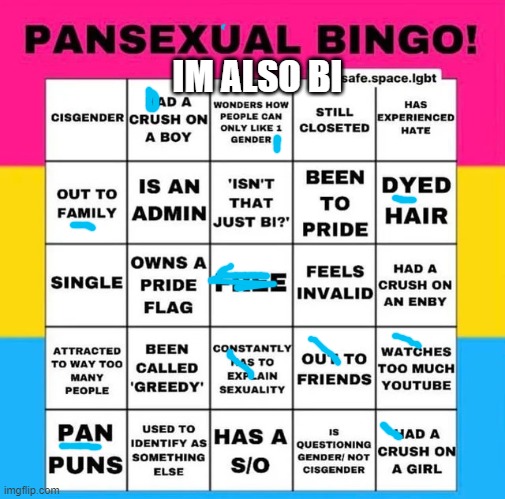 Pansexual Bingo | IM ALSO BI | image tagged in pansexual bingo | made w/ Imgflip meme maker