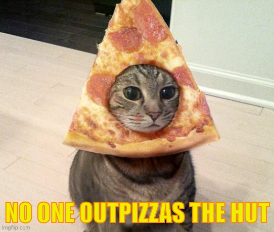 pizza cat | NO ONE OUTPIZZAS THE HUT | image tagged in pizza cat | made w/ Imgflip meme maker