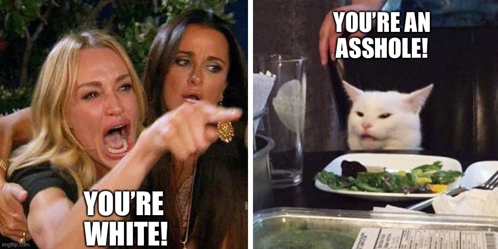 Smudge | YOU’RE AN
ASSHOLE! YOU’RE 

WHITE! | image tagged in smudge the cat | made w/ Imgflip meme maker