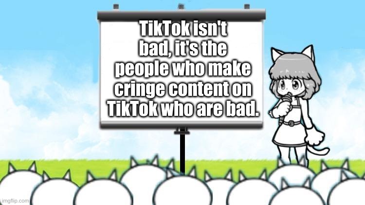 [insert protesting title here] | TikTok isn't bad, it's the people who make cringe content on TikTok who are bad. | image tagged in moneko protest,battle cats | made w/ Imgflip meme maker