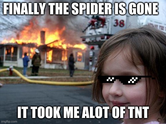 Disaster Girl Meme | FINALLY THE SPIDER IS GONE; IT TOOK ME ALOT OF TNT | image tagged in memes,disaster girl | made w/ Imgflip meme maker