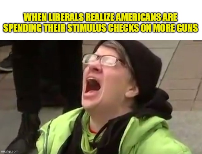 You can never have enough | WHEN LIBERALS REALIZE AMERICANS ARE SPENDING THEIR STIMULUS CHECKS ON MORE GUNS | image tagged in screaming liberal | made w/ Imgflip meme maker