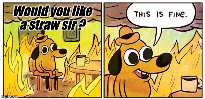 This Is Fine Meme | Would you like a straw sir ? | image tagged in memes,this is fine | made w/ Imgflip meme maker