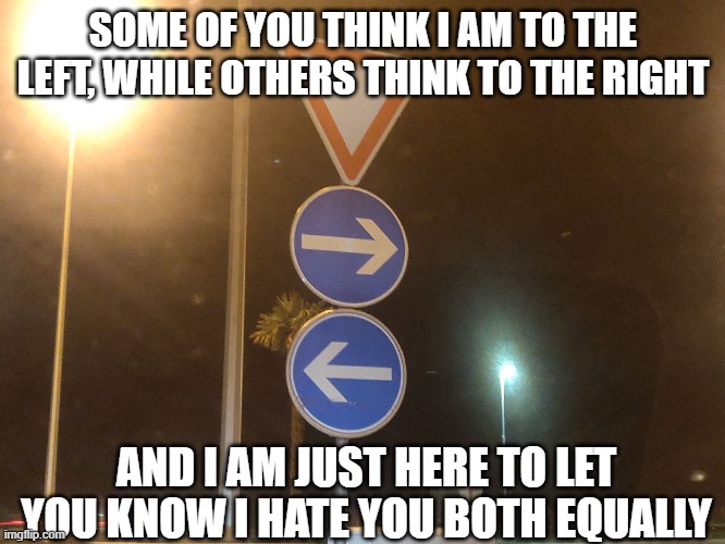 You Both Dumb | SOME OF YOU THINK I AM TO THE LEFT, WHILE OTHERS THINK TO THE RIGHT; AND I AM JUST HERE TO LET YOU KNOW I HATE YOU BOTH EQUALLY | image tagged in left right | made w/ Imgflip meme maker