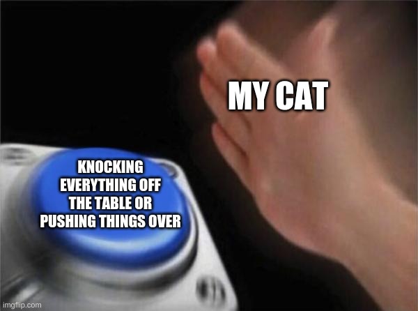 Blank Nut Button | MY CAT; KNOCKING EVERYTHING OFF THE TABLE OR PUSHING THINGS OVER | image tagged in memes,blank nut button | made w/ Imgflip meme maker