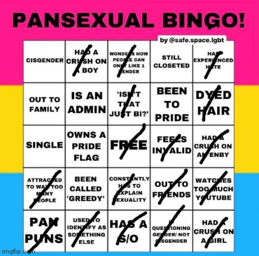 L | image tagged in pansexual bingo | made w/ Imgflip meme maker