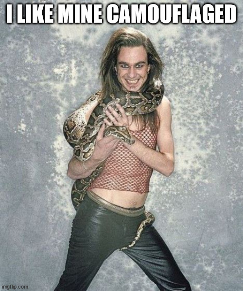 Fabulous Frank And His Snake Meme | I LIKE MINE CAMOUFLAGED | image tagged in memes,fabulous frank and his snake | made w/ Imgflip meme maker