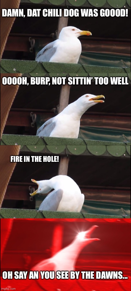 Seagull at Ball game | DAMN, DAT CHILI DOG WAS GOOOD! OOOOH, BURP, NOT SITTIN’ TOO WELL; FIRE IN THE HOLE! OH SAY AN YOU SEE BY THE DAWNS... | image tagged in memes,inhaling seagull | made w/ Imgflip meme maker