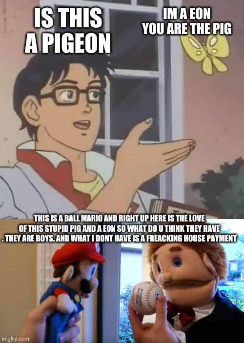 Mario lemme tell you something | IM A EON YOU ARE THE PIG; IS THIS A PIGEON; THIS IS A BALL MARIO AND RIGHT UP HERE IS THE LOVE OF THIS STUPID PIG AND A EON SO WHAT DO U THINK THEY HAVE . THEY ARE BOYS. AND WHAT I DONT HAVE IS A FREACKING HOUSE PAYMENT | image tagged in memes,is this a pigeon,sml jeffy's baseball | made w/ Imgflip meme maker