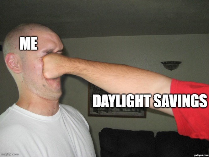 Face punch | ME; DAYLIGHT SAVINGS | image tagged in face punch | made w/ Imgflip meme maker
