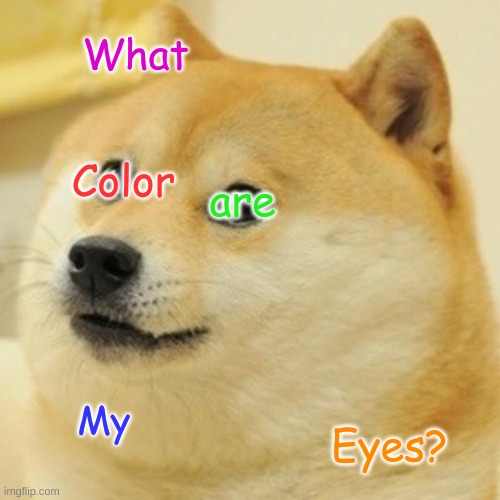 Doge | What; Color; are; My; Eyes? | image tagged in memes,doge | made w/ Imgflip meme maker