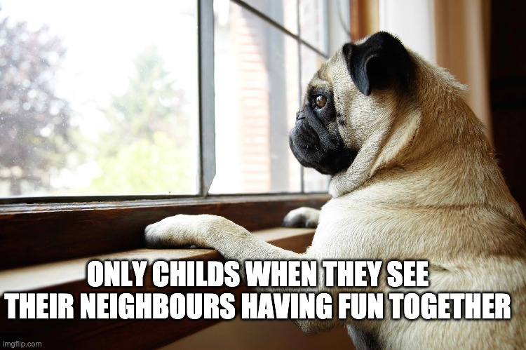 Alone | ONLY CHILDS WHEN THEY SEE THEIR NEIGHBOURS HAVING FUN TOGETHER | image tagged in fun,alone,forever alone | made w/ Imgflip meme maker