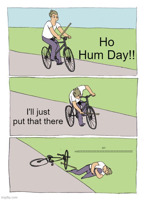 Bike Fall | Ho Hum Day!! I'll just put that there; MY KNEEEEEEEEEEEEEEEEEEEEEEEEEEEEEEEEEEE | image tagged in memes,bike fall | made w/ Imgflip meme maker