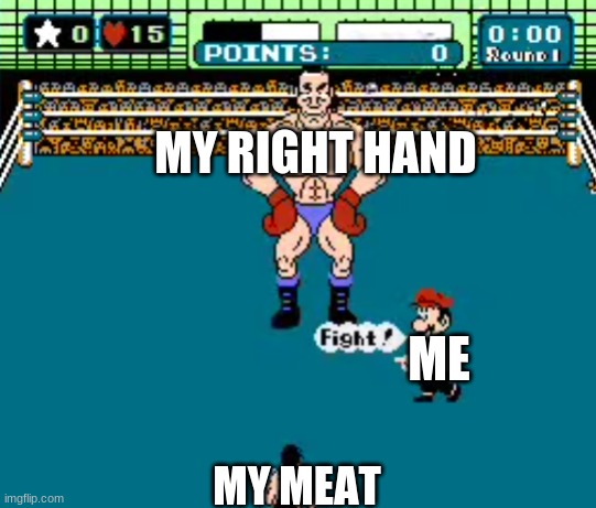 MY RIGHT HAND; ME; MY MEAT | image tagged in funny meme | made w/ Imgflip meme maker