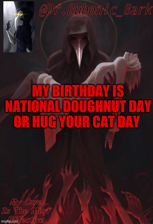 Dr Temp | MY BIRTHDAY IS NATIONAL DOUGHNUT DAY OR HUG YOUR CAT DAY | image tagged in dr temp | made w/ Imgflip meme maker