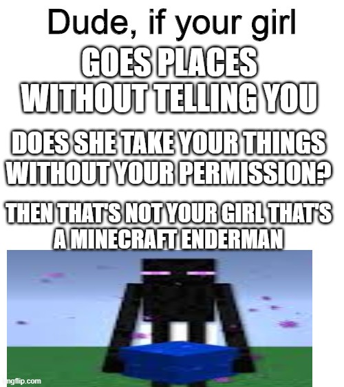 Dude if your girl | GOES PLACES WITHOUT TELLING YOU; DOES SHE TAKE YOUR THINGS WITHOUT YOUR PERMISSION? THEN THAT'S NOT YOUR GIRL THAT'S A MINECRAFT ENDERMAN | image tagged in dude if your girl | made w/ Imgflip meme maker