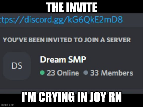SEE | THE INVITE; I'M CRYING IN JOY RN | image tagged in dream smp,discord | made w/ Imgflip meme maker
