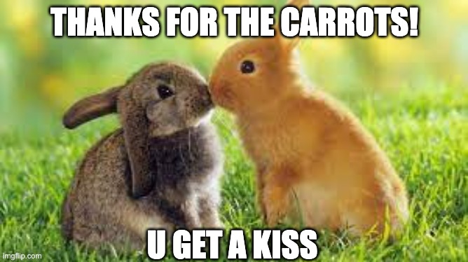 THANKS FOR THE CARROTS! U GET A KISS | image tagged in bunnies,funny | made w/ Imgflip meme maker