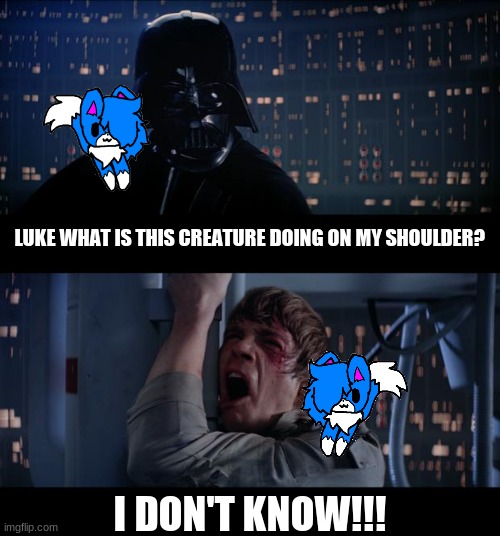 Star Wars No Meme | LUKE WHAT IS THIS CREATURE DOING ON MY SHOULDER? I DON'T KNOW!!! | image tagged in memes,star wars no | made w/ Imgflip meme maker