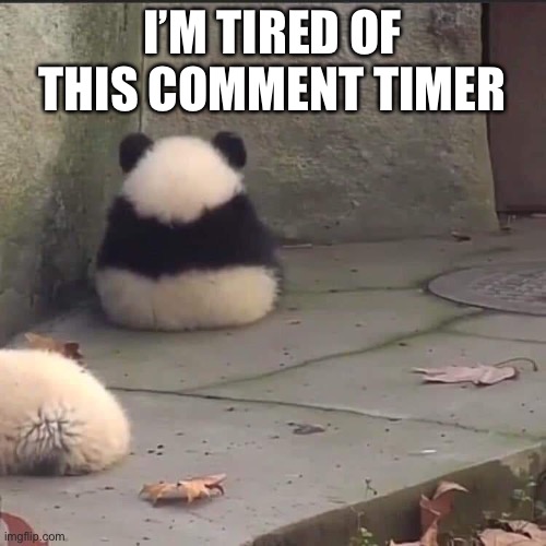 no talk me im angy | I’M TIRED OF THIS COMMENT TIMER | image tagged in no talk me im angy | made w/ Imgflip meme maker