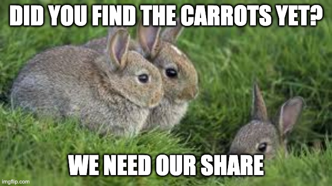 Come on, man, we need our carrots | DID YOU FIND THE CARROTS YET? WE NEED OUR SHARE | image tagged in funny,carrot | made w/ Imgflip meme maker
