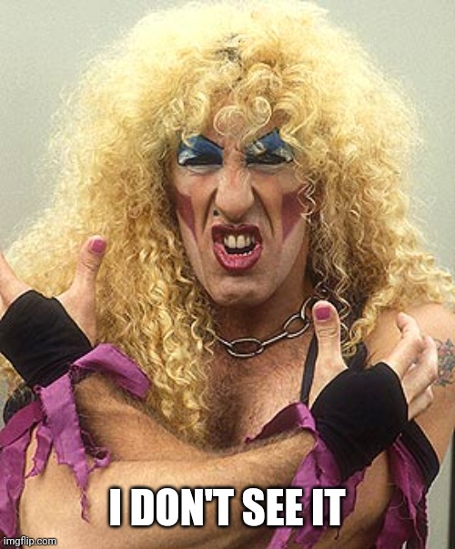 Dee Snider  | I DON'T SEE IT | image tagged in dee snider | made w/ Imgflip meme maker